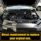 Set of 2 Hood Hinges for Ford Fusion