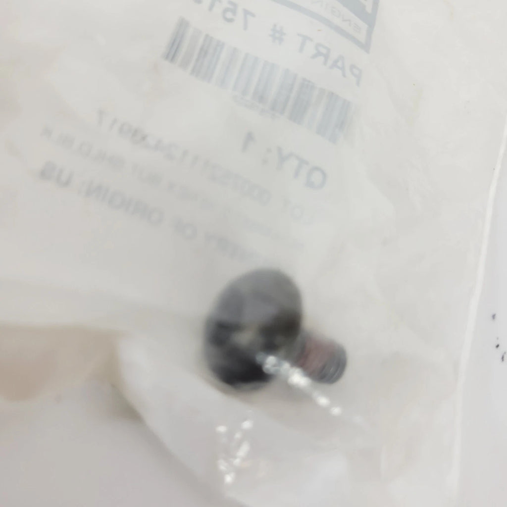 M6 x 1.0 Hex Screw for Polaris Indian (7519203)