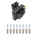 Hitachi Ignition Coil & Bosch 8 Platinum Spark Plugs Kit for F-150 Mustang (N/A)