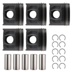 5pcs Piston & Ring for Ford Ranger Transit 3.2L Diesel (2012-2019)