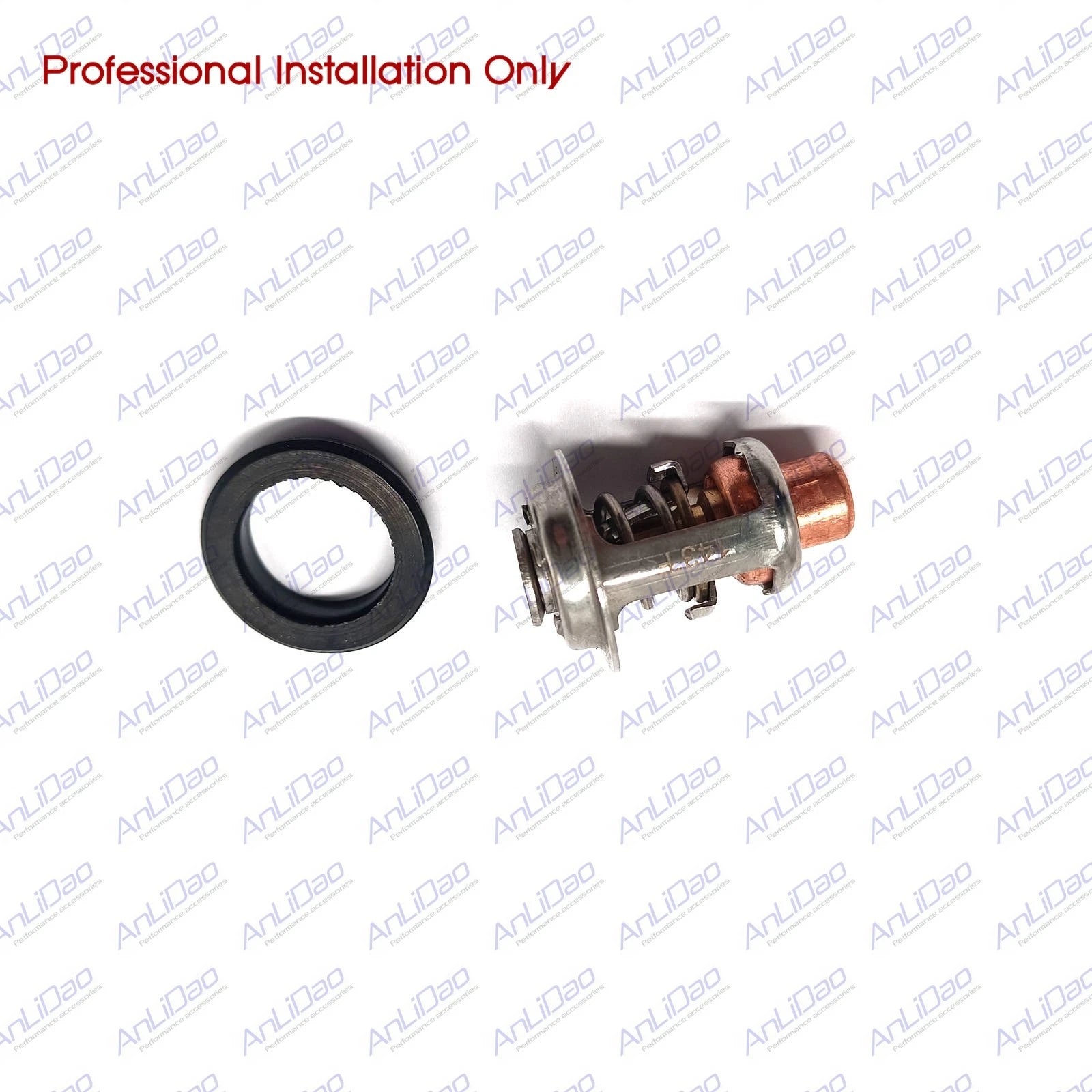 Thermostat with Gasket for Johnson Evinrude 5HP-235HP (434841, 5005440, 18-3672)