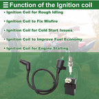 Ignition Coil Set for Honda FourTrax 300 TRX300 2x4 (1994–1997) No. 30410HM5505