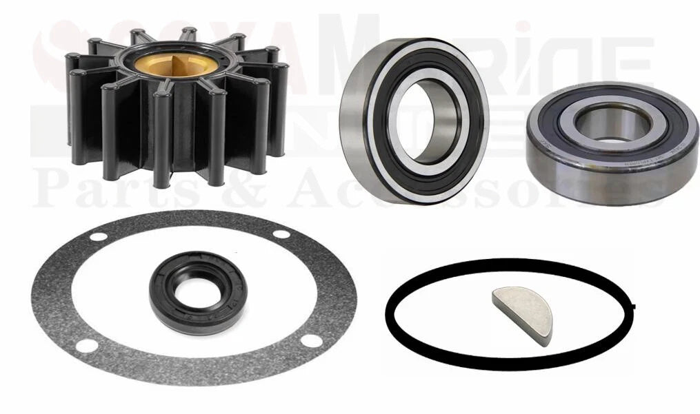 Rebuild Repair Kit for Perkins 4107 4108 Water Pump (NA003335)