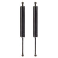 2X Tailgate Lift Support Strut for Mercedes Benz E320 (1998–2003)