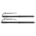 2X Electric Tailgate Struts for Nissan Rogue S SL SV (2014–2019) 905614BA4A