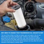 Automatic Transmission Oil Cooler Filter for Audi (No. 0BH325183B)