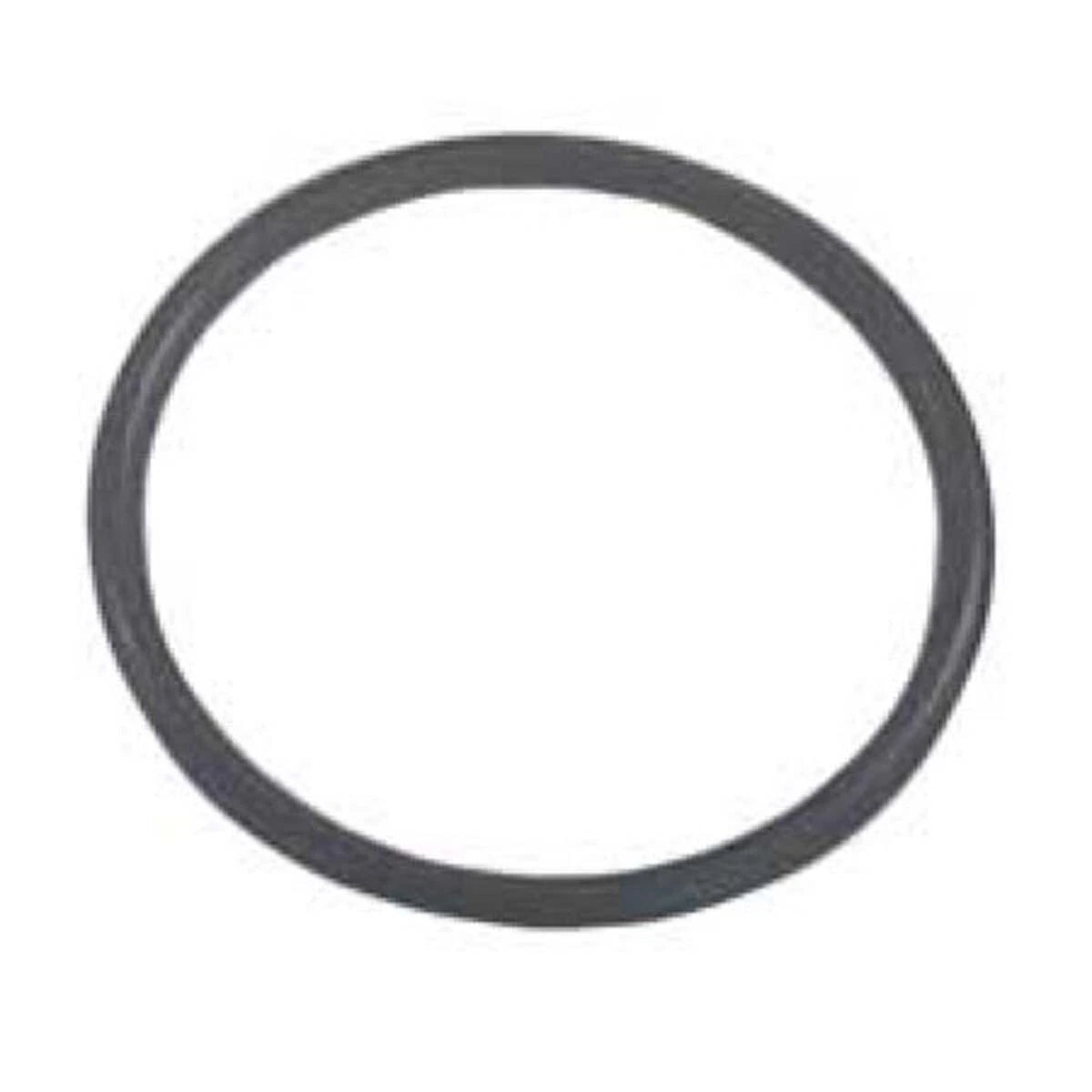 WSM O-Ring for