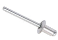 Window Regulator Rivet 4.8mm X 8mm for Mercedes Benz (URO-007394)