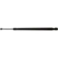 Liftgate Struts Set of 2 for Ford Escape