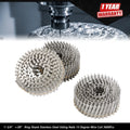 Set of 3600 Stainless Steel Siding Nails for 15 Degree Wire Coil