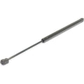 Trunk Lid Lift Supports for BMW 3 Series (Driver/Passenger Side)