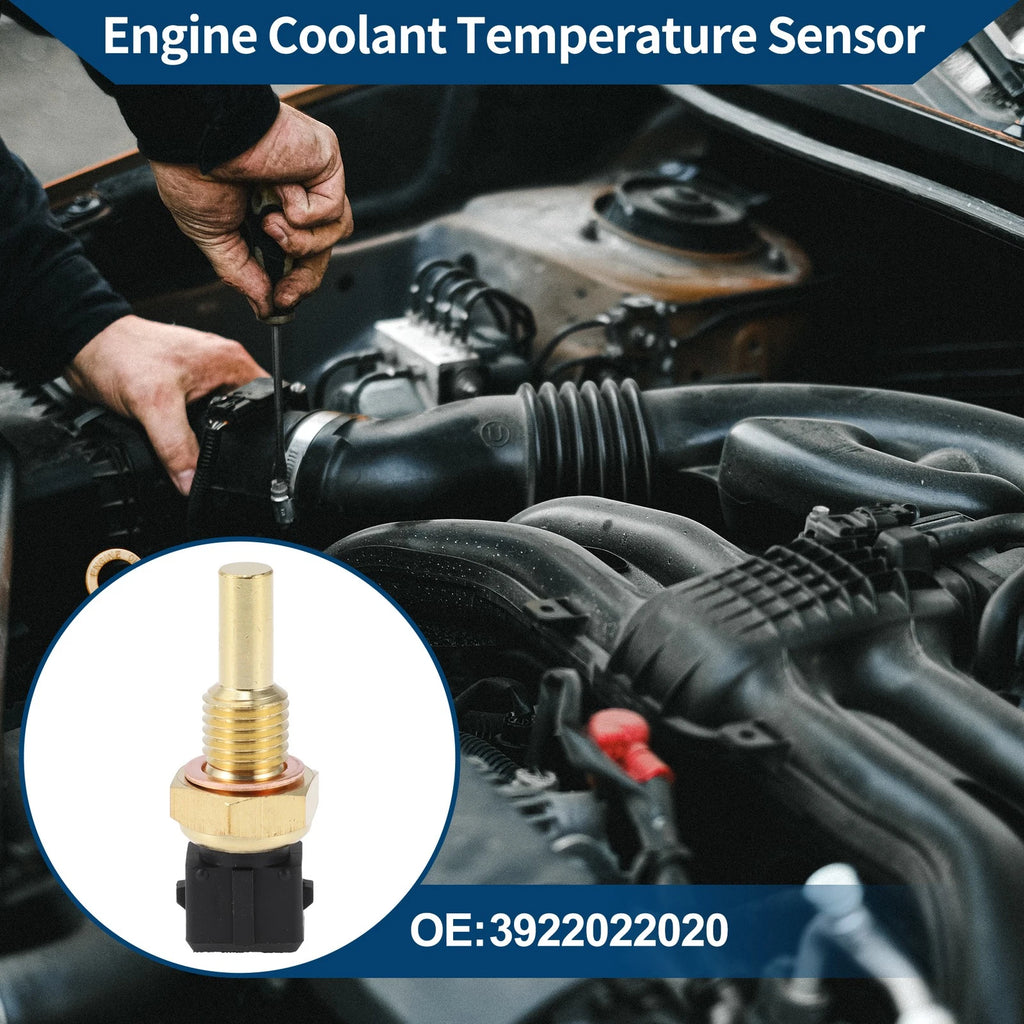 Engine Coolant Temperature Sensor No. 3922022020 for Hyundai Elantra (1996–2001)