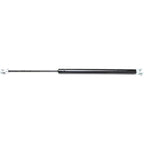 Trunk Lid Lift Supports for Toyota 4Runner (Right/Left)