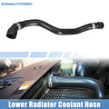 1 Pcs Radiator Coolant Hose for BMW 320i Base 2.0L (2013-2016)