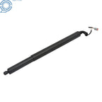 Electric Tailgate Lift Support for Ford Edge (2015-2018)
