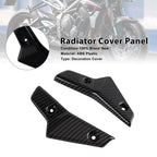 Radiator Side Cover Fairing Panels for Street Triple 765 R/RS (2020–2022) Carbon