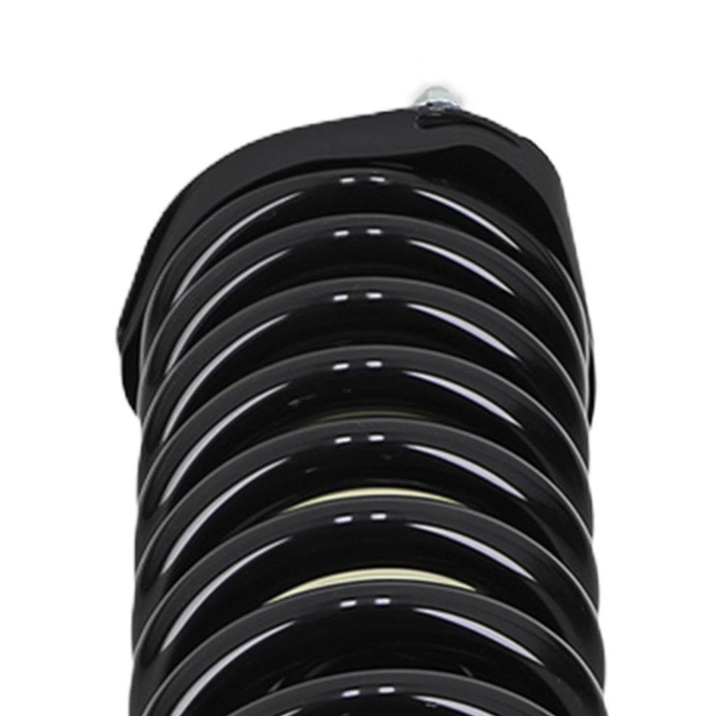Complete Shocks Struts Coil Spring for Dodge Dakota (2005-2009) 2WD
