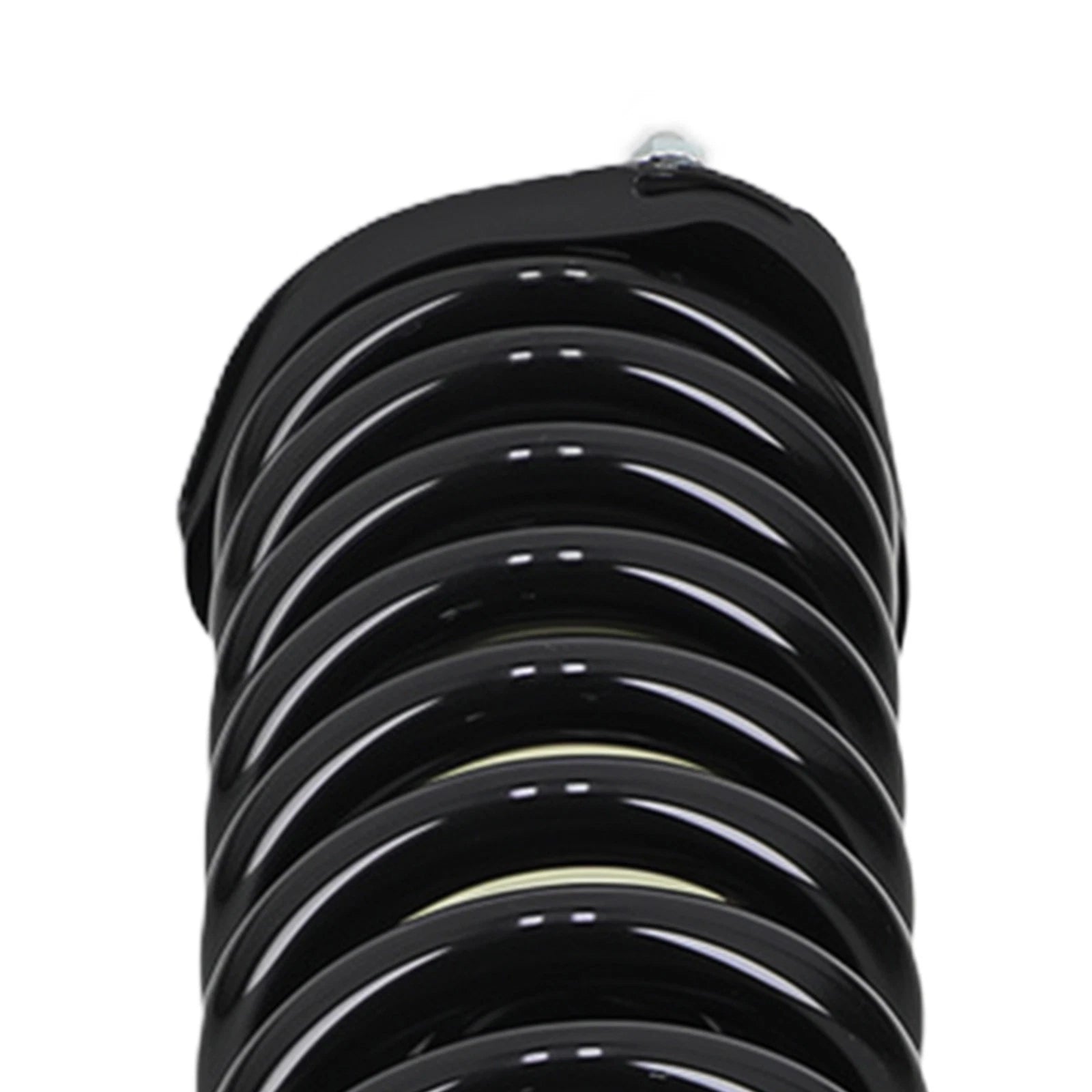 Complete Shocks Struts Coil Spring for Dodge Dakota (2005-2009) 2WD