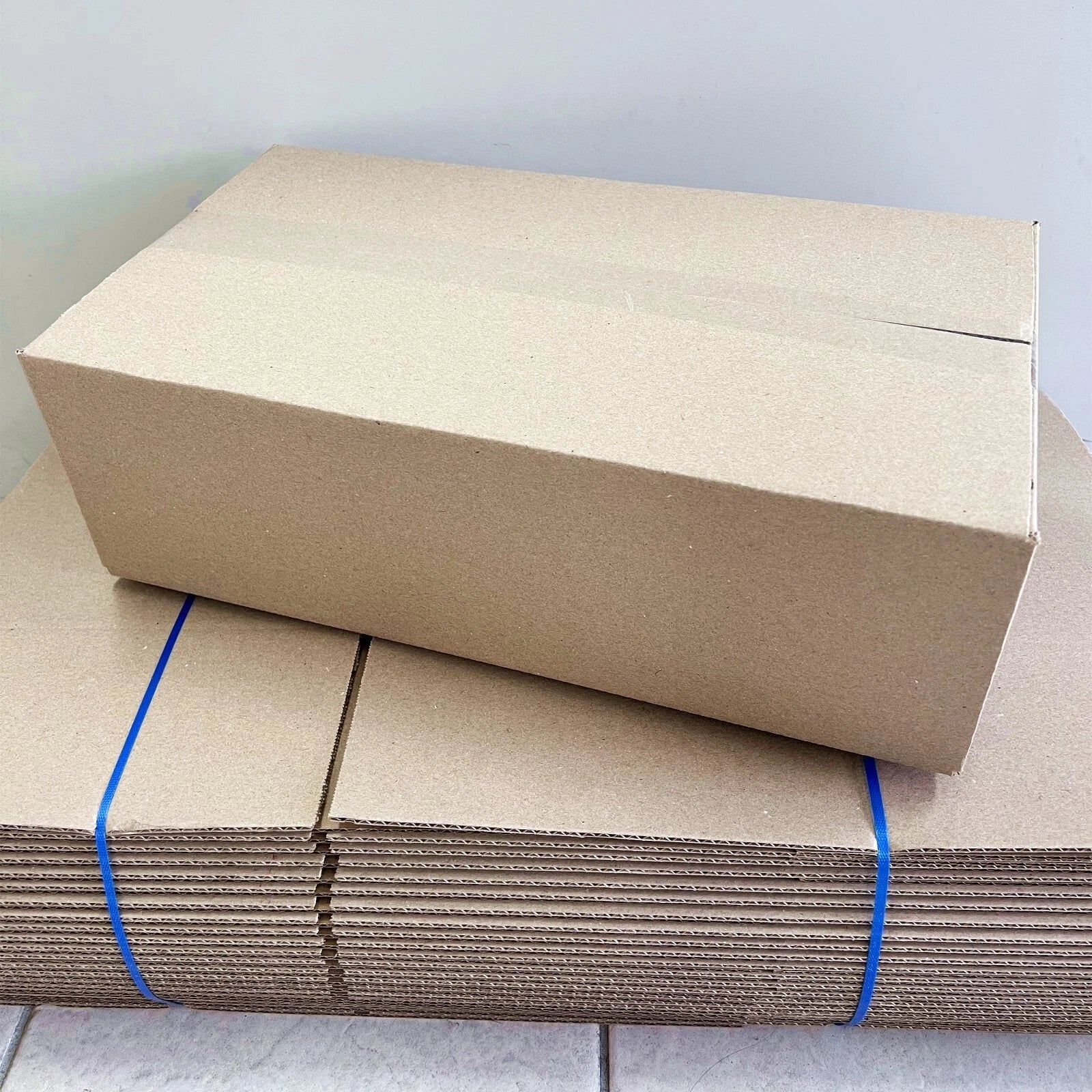 Shipping Carton Box 540 x 270 x 180mm (BX4 B4)
