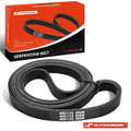 Serpentine Belt for Ford F-Series E-Series Ranger