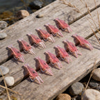 10PCS Silicone Shrimp Fish Bait with Hook for Freshwater & Saltwater