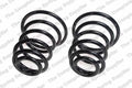 Rear Coil Spring Kit for Buick (4412146)
