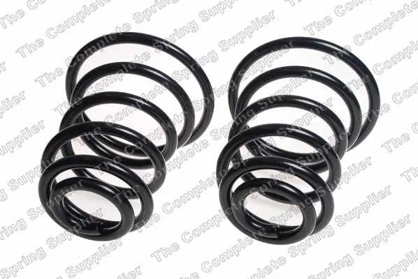 Rear Coil Spring Kit for Buick (4412146)