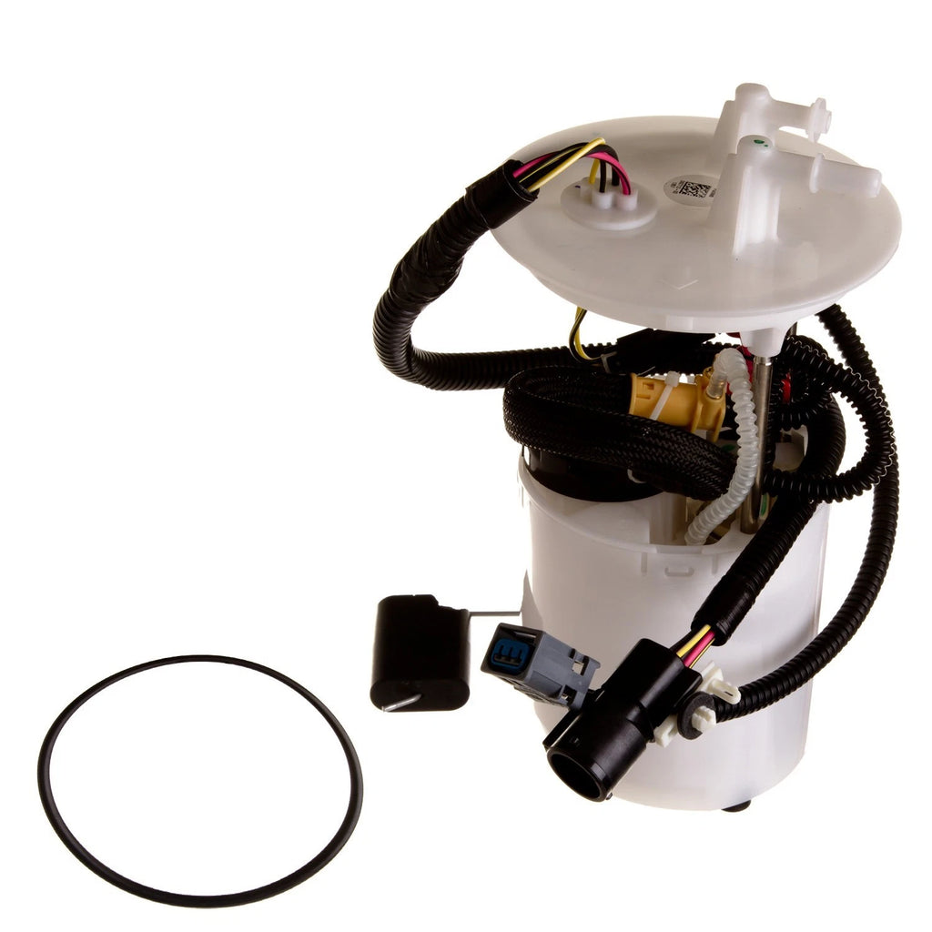 Delphi FG0965 Fuel Pump Module Assembly for Ford Taurus/Mercury Sable (2002–2003)
