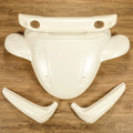 Front Hood & Mud Guard Set for Polaris GEM Cars (1999–2012)