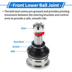 2X Front Lower Ball Joints for Toyota Yaris (1999–2005) No. 43308-59095
