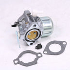 Carburetor for BS Walbro (1924-1924)