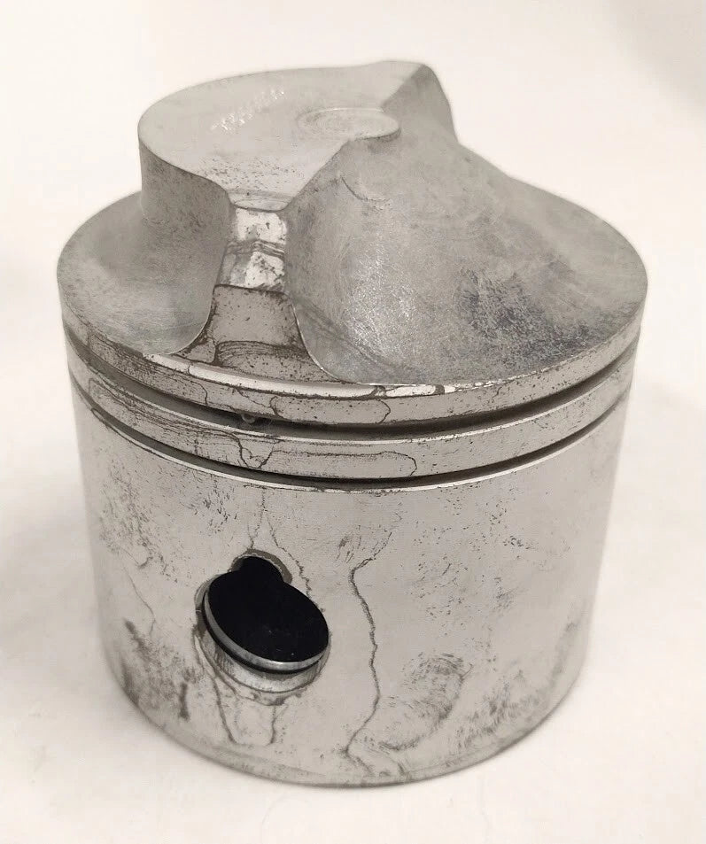 Piston Kit for Aqua Power 2987 (OEM)