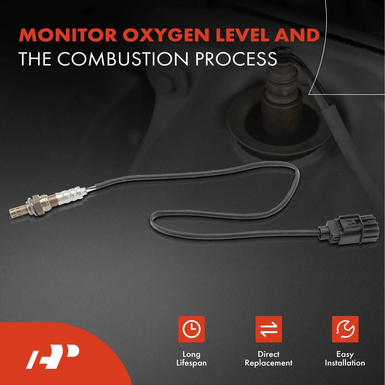 O2 Oxygen Sensor for Nissan Sentra (2000-2001)