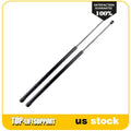 2X Front Hood Lift Supports for Volkswagen Beetle (1998–2010)