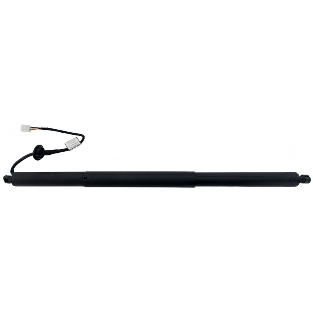Liftgate Lift Supports Set of 2 for X Pair