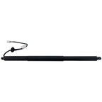 Liftgate Lift Supports Set of 2 for X Pair