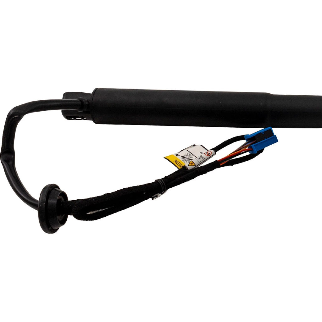 Liftgate Lift Supports for MB Mercedes (Driver or Passenger Side)