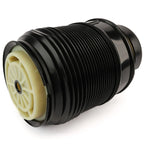 Air Spring Shock and Strut for Mercedes-Benz (Rear Right Side)