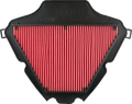 HIFLOFILTRO Air Filter for Honda (HFA1717)