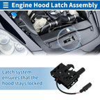 Hood Latch Assembly for Audi A4 Quattro (2017–2024) No. 8W0823509