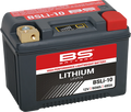 BS Battery Lithium Battery BSLi-10 for (Max 360116)