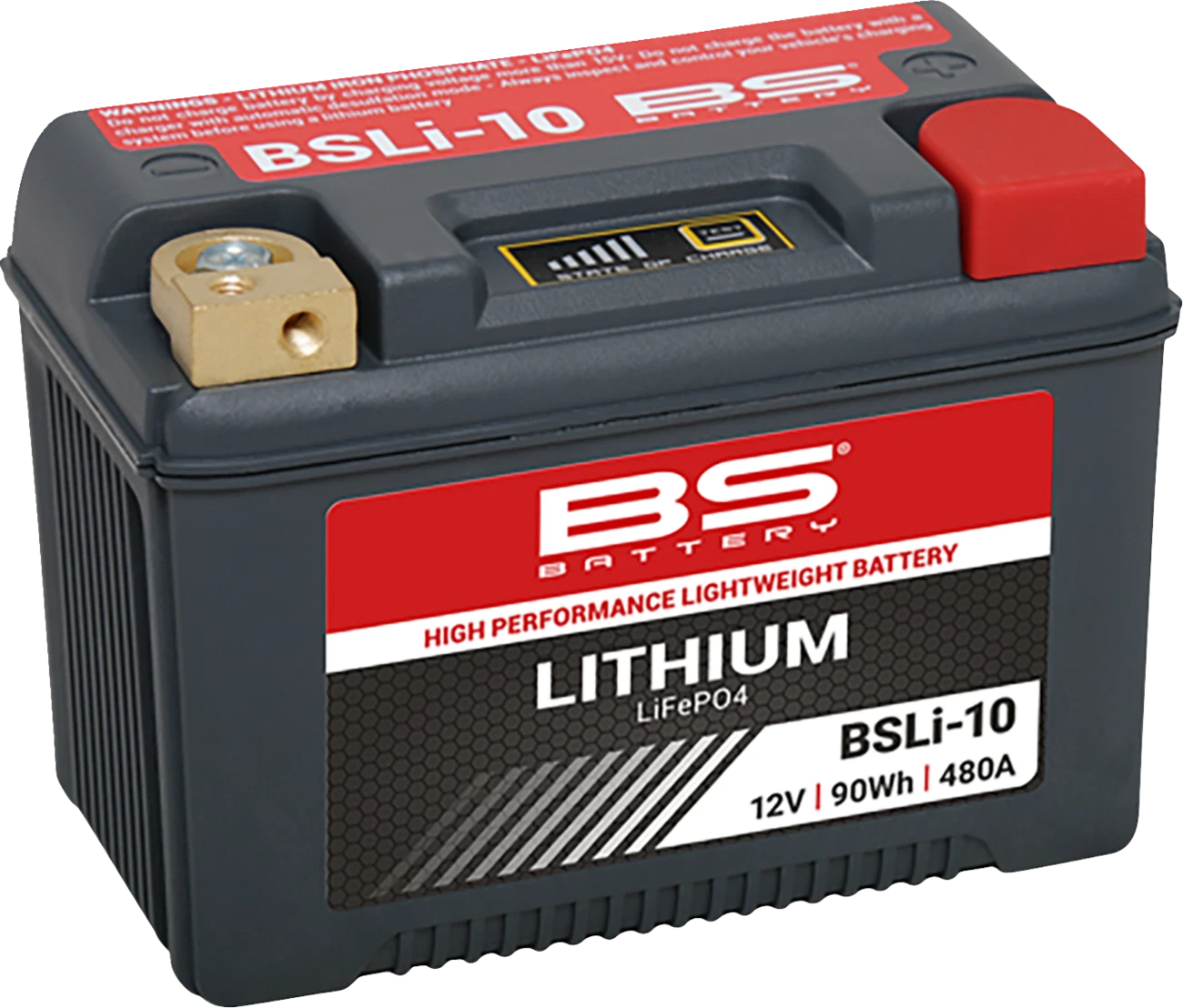 BS Battery Lithium Battery BSLi-10 for (Max 360116)