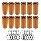 Oil Filter Set for Audi Q5 2009–2010 (3.2L V6) Premium/Prestige