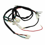 Wiring Harness Loom for Pit Bike 50/70/110/125cc (Electric Start)