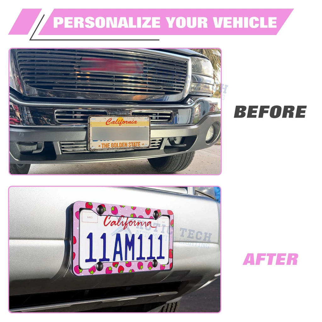 Universal License Plate Frame for Stainless Steel (2000-2020)