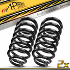 2X Rear Coil Springs for Ford Expedition (2003–2006)
