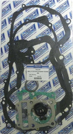 Complete Gasket Kit for WSM 250 LT / LT-F (1987–2002)