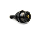 Set of 2 Heavy Duty Upper Ball Joints for Can-Am Renegade (See Fitment)