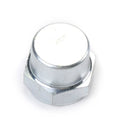 Fuel Pump Cap Nut for Mercedes R107 W116 W123 300SE (1972–1985) 123 990 00 53