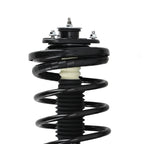 Front Complete Strut Shocks Spring for Acura MDX (2001–2002) & Honda Pilot (2003–2008)